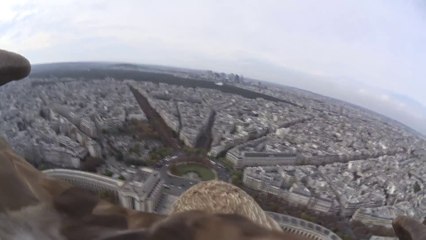 Download Video: Flying eagle point of view - A flight over Paris