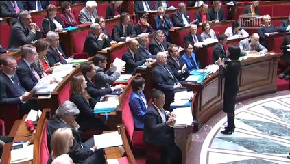 14.10.07question d'actualité fleur pellerin arrivée netflix