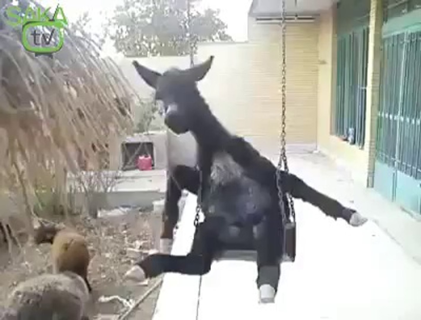 tamer karadağlı nın kızı kaç yaşında