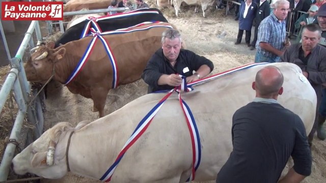 9ème Festiboeuf Naucelle et artisans bouchers