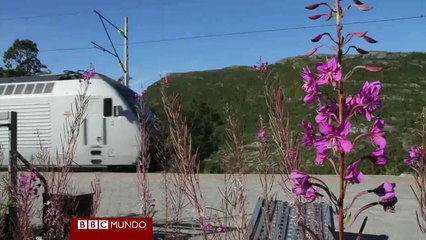 Flam: ¿el viaje en tren más hermoso del mundo?