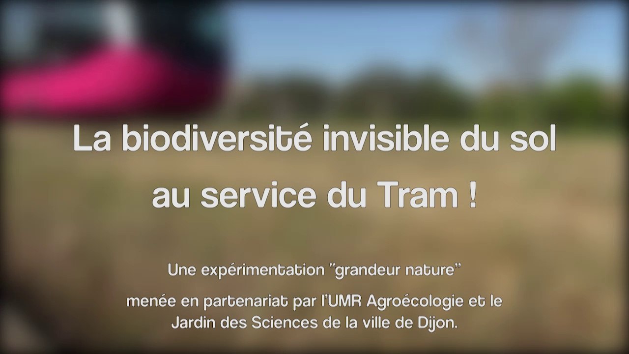 La biodiversité invisible du sol au service du Tram