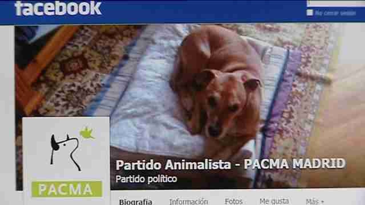 Quarantined husband of Ebola-infected nurse pleads for his dogs life