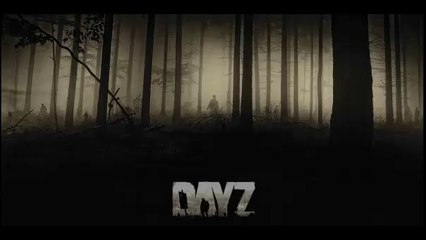 Dayz standalone 0.49.124971 cracked full download