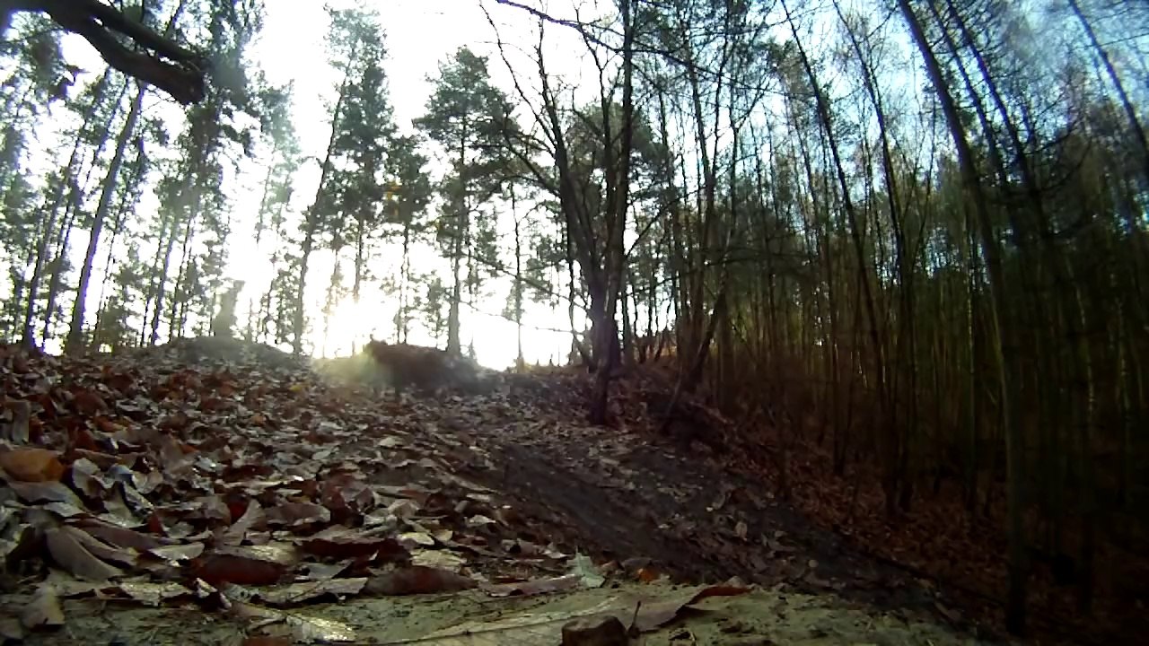 Downhill mountain biking at The Lookout (Swinley Forest) - GoPro HD