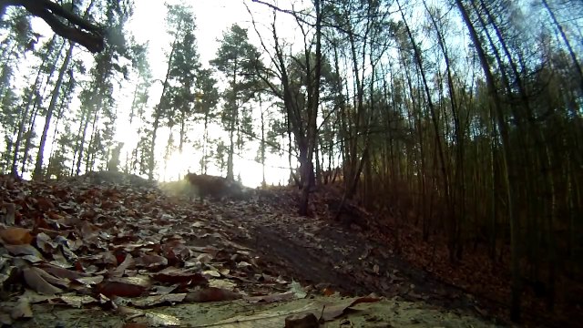 Downhill mountain biking at The Lookout (Swinley Forest) - GoPro HD
