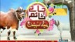 Chaai Time Eid Special on Jaag Tv - 8th October 2014