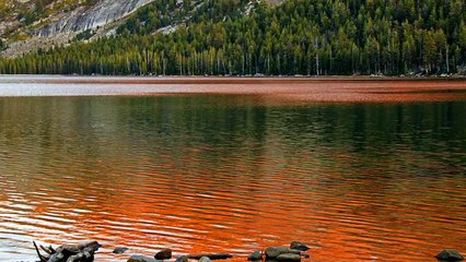 02 - Imágenes de relajación y música de paz total