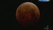 'Blood moon' lunar eclipse graces pre-dawn skies