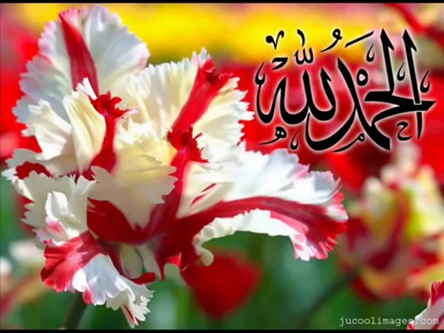 Ilahi Shqip 2013 [ Adem Ramadani 2013 ]