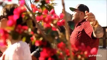 Santo Espirito (Holy Spirit) - Laura Souguellis