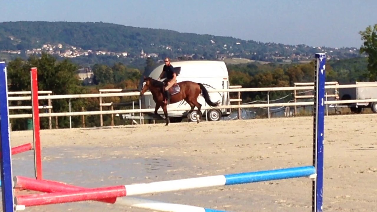 HARAS KRF BETERFLY DU MIROIR KAREF