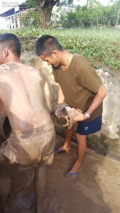 Guy crawls through poo tunnel to rescue puppies