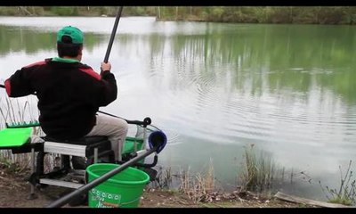 Carpes printanières