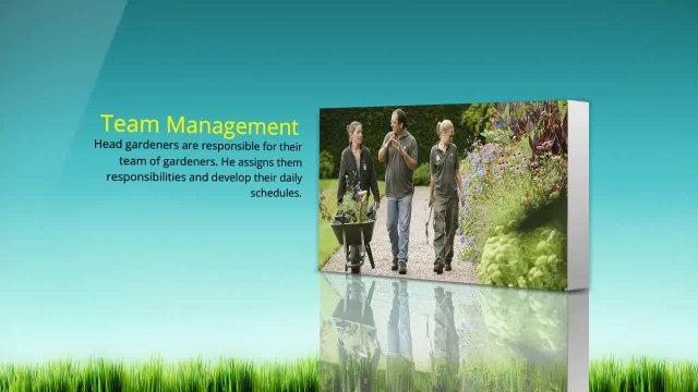 Head Gardener Jobs to Make Garden Maintenance Easier for You