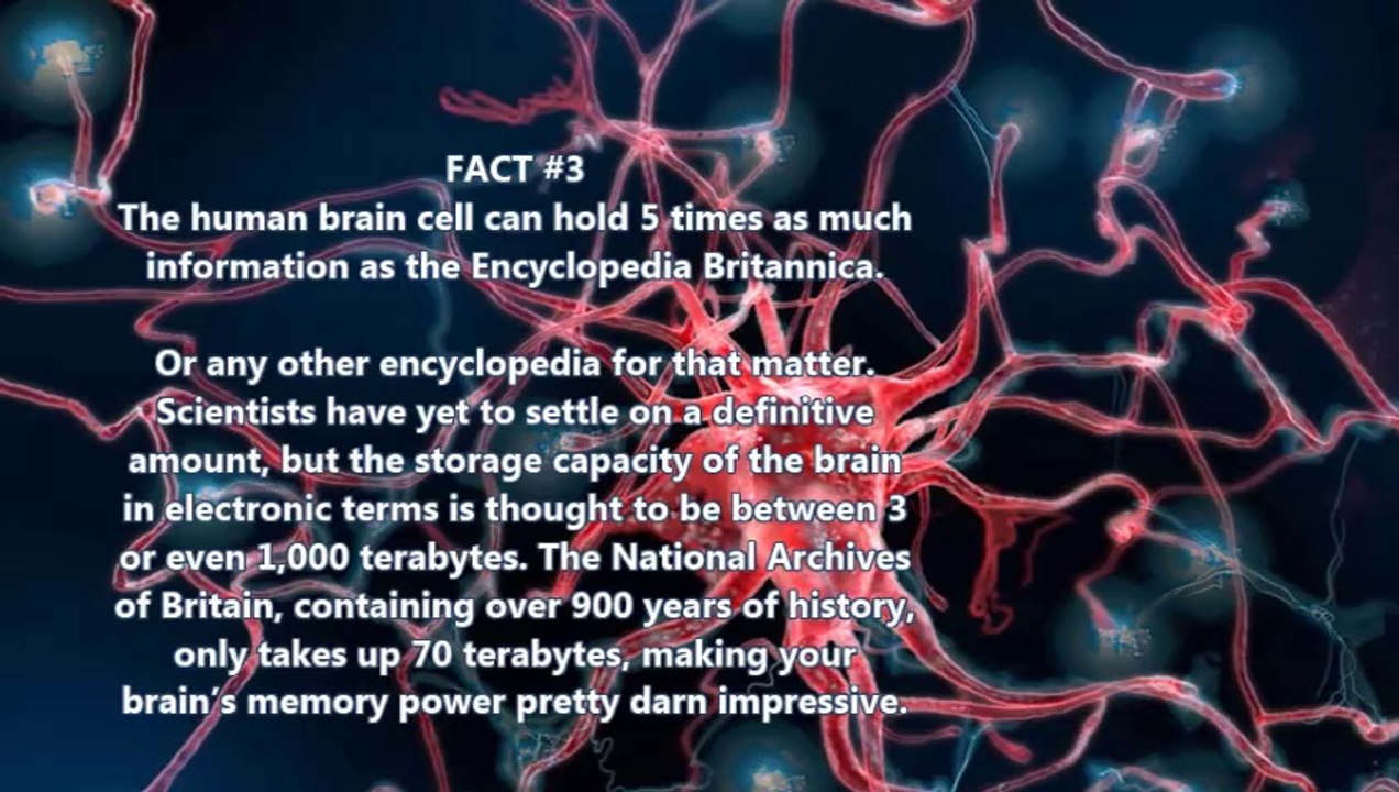 The Human Body 100 Facts Series - Part 1 - 10 Facts About Human Brain