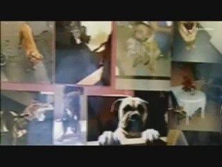 Grenoble 38 RAP DLAB - Kbeau feat BILYAS