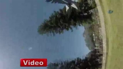 Kızgın Kuş Bisiklet Sürücüsüne Yolu Dar Etti