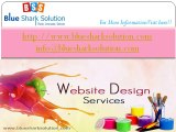 What factors should be considered while hiring a web designer?