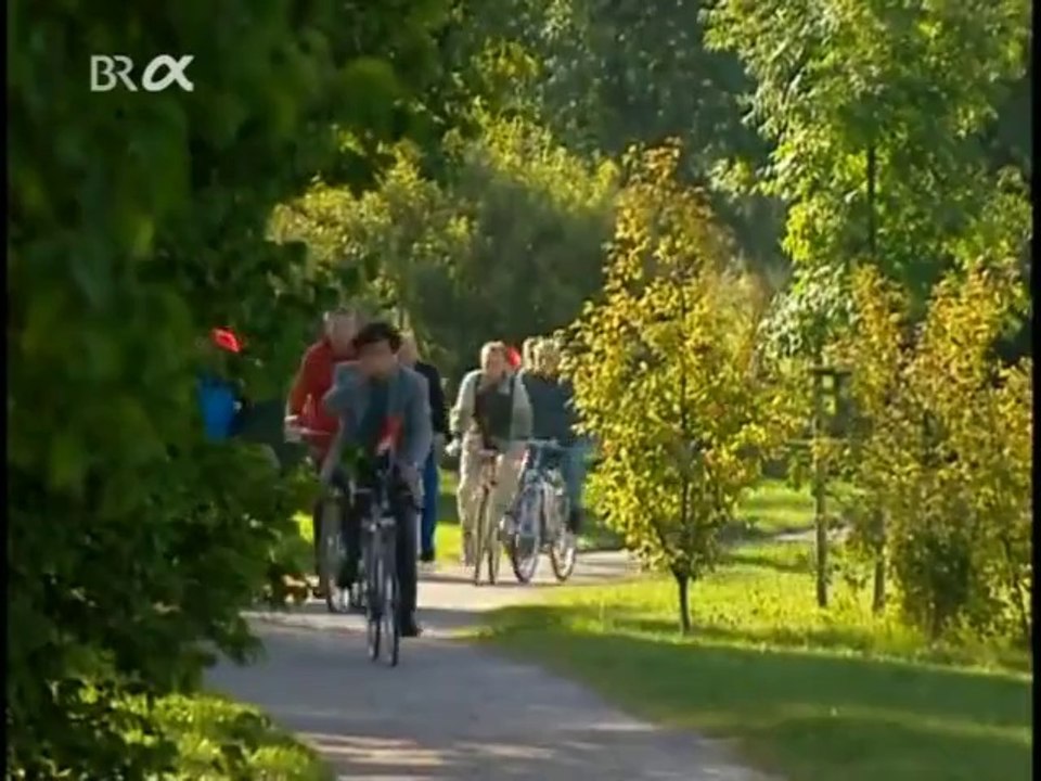 Sozialkunde 02 Die Qual der Wahl