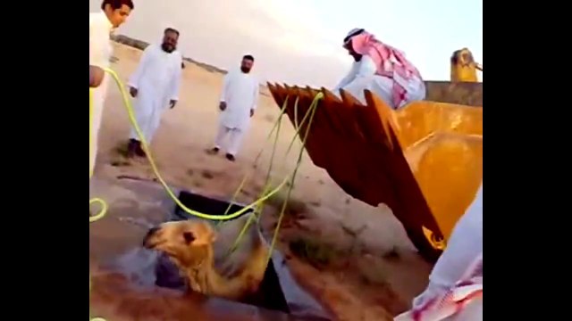 Best funny vine videos stupid rescue Compilation 2013 FUNNY VIDEOS ACCIDENTS jjust funny laughs