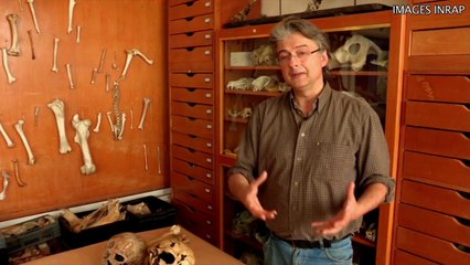 Découverte d'un nouveau pré-néandertalien à Tourville-la-Rivière (76)