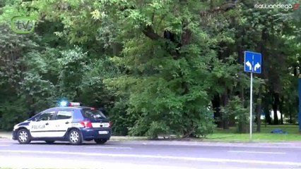 Gorilla Kılığına Giren Adam