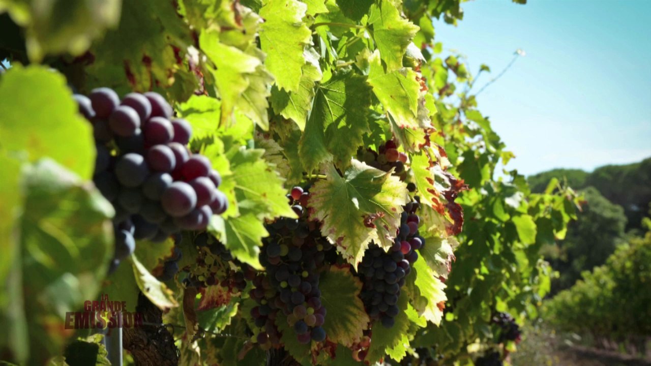 La Grande Emission  AZUR TV 29 septembre 2014