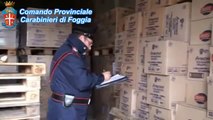 Foggia - Assalto al tir i Carabinieri arrestano quattro persone (08.10.14)