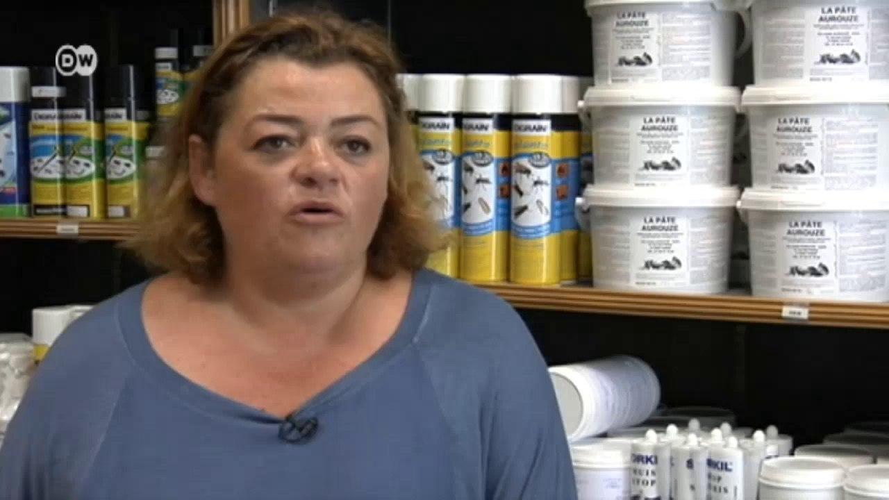 Frankreich: Rattenplage in Paris | Fokus Europa