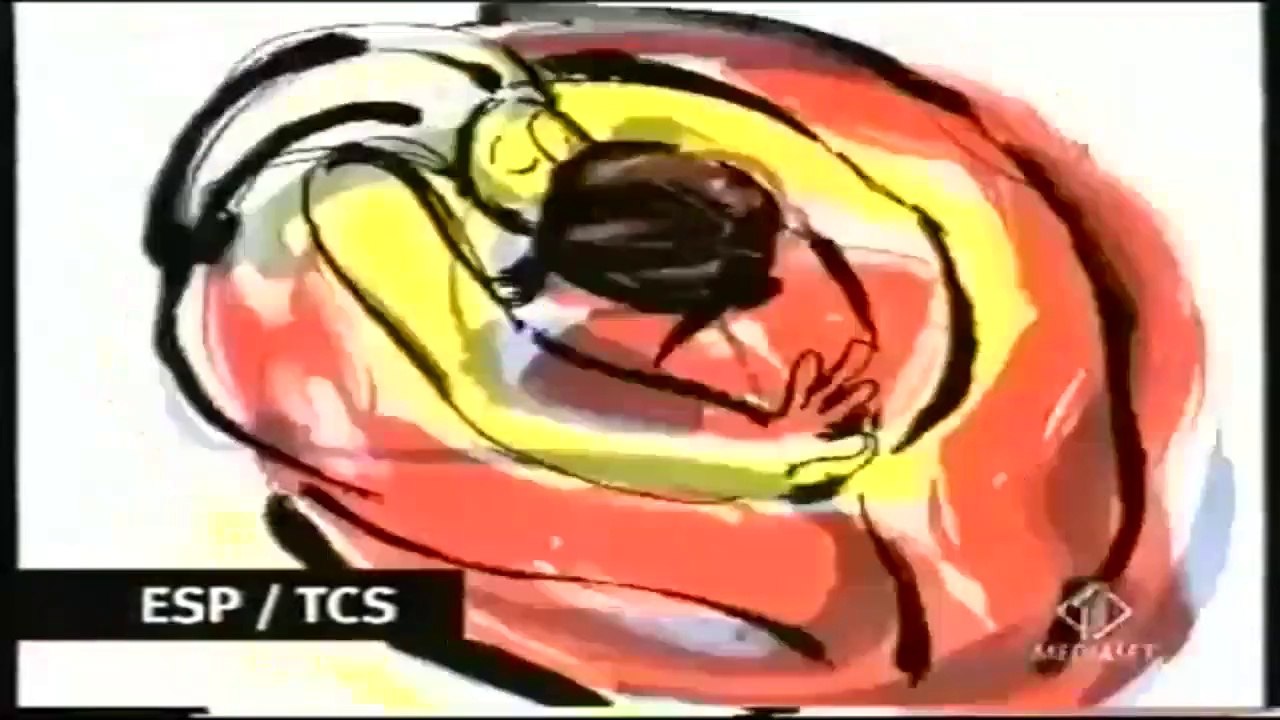 seat ibiza spot (2002)