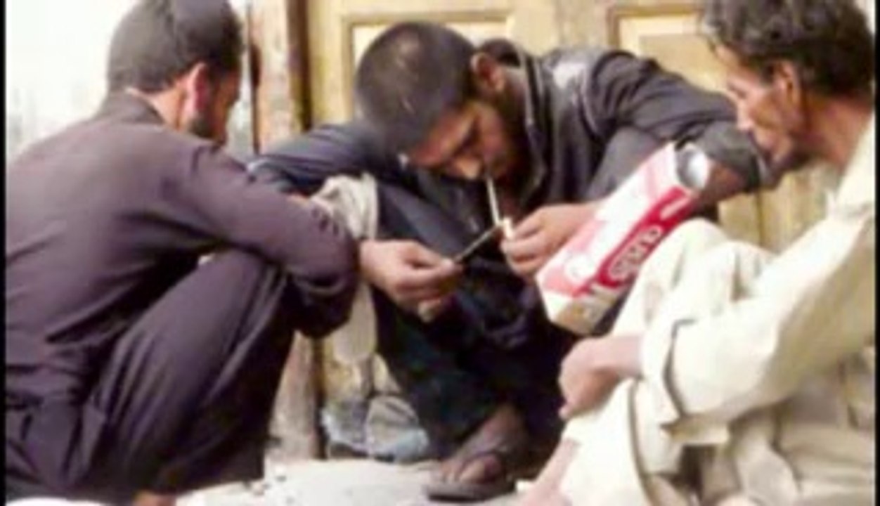FAP Pakistan (Friends Of Antinarcotics Pakistan)