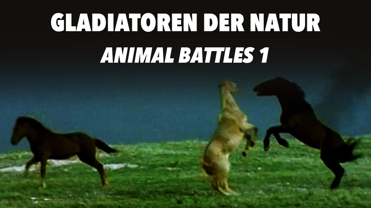 Gladiatoren der Natur - Animal Battles 1 (2011) [Dokumentation] | Film (deutsch)