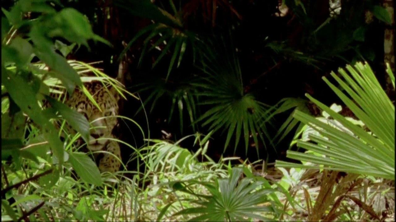 Jurassic Fight Club - EP06: chasseurs chassés