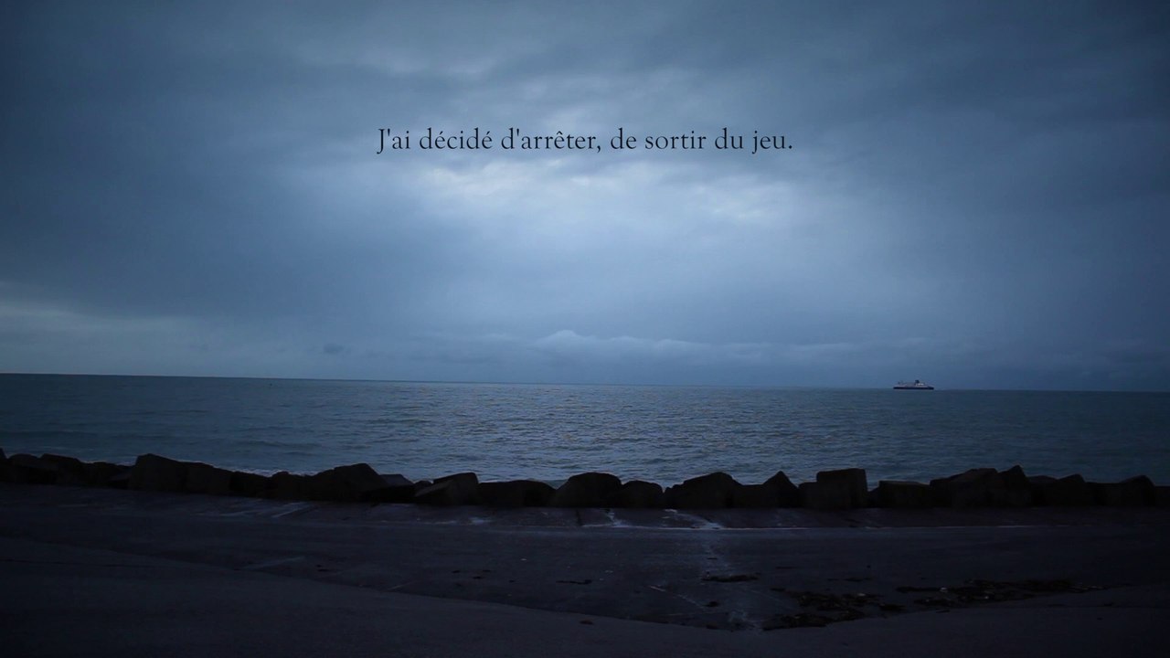 J'ai décidé d'arrêter, de sortir du jeu. / LES PARTICULES ÉLÉMENTAIRES / Michel Houellebecq - Ju