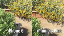 iPhone 6 vs iPhone 6 Plus Video, Still Image and Time Lapse Quality Test and DIS vs OIS