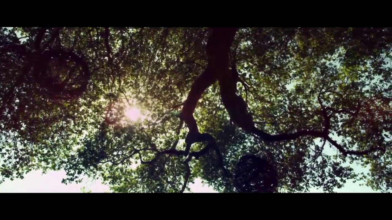 Czworo do pary 2014 zwiastun trailer HD