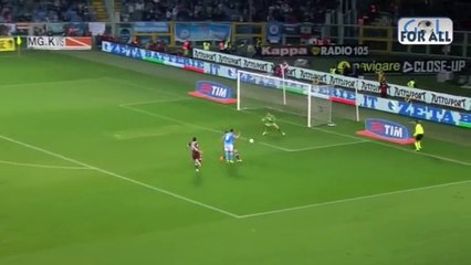 Torino-Napoli 0-1 SerieA 2013-2014 (EFFETTO STADIO)