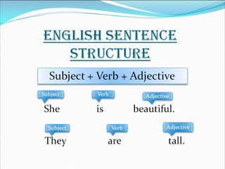 English Sentence Structure Guide 📚