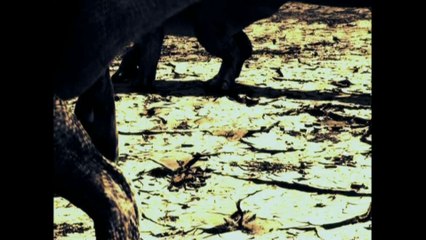 Jurassic Fight Club - EP08: le naufrage des carnassiers