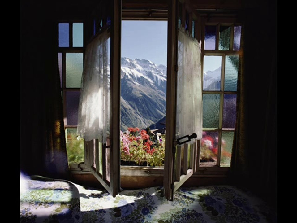 Top 5 Reasons To Replace A Window