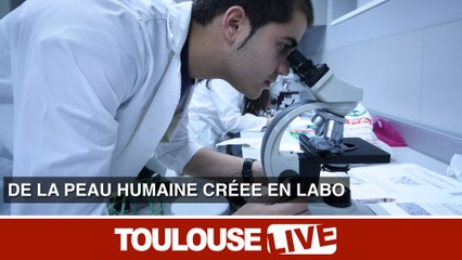 Genoksin : la start-up toulousaine qui crée des kits de peau humaine