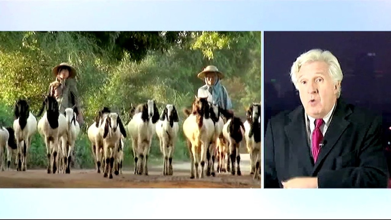France 2 Année de la chèvre