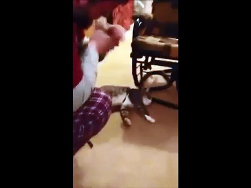 Un chat fait semblant d’être mort pour éviter la promenade !