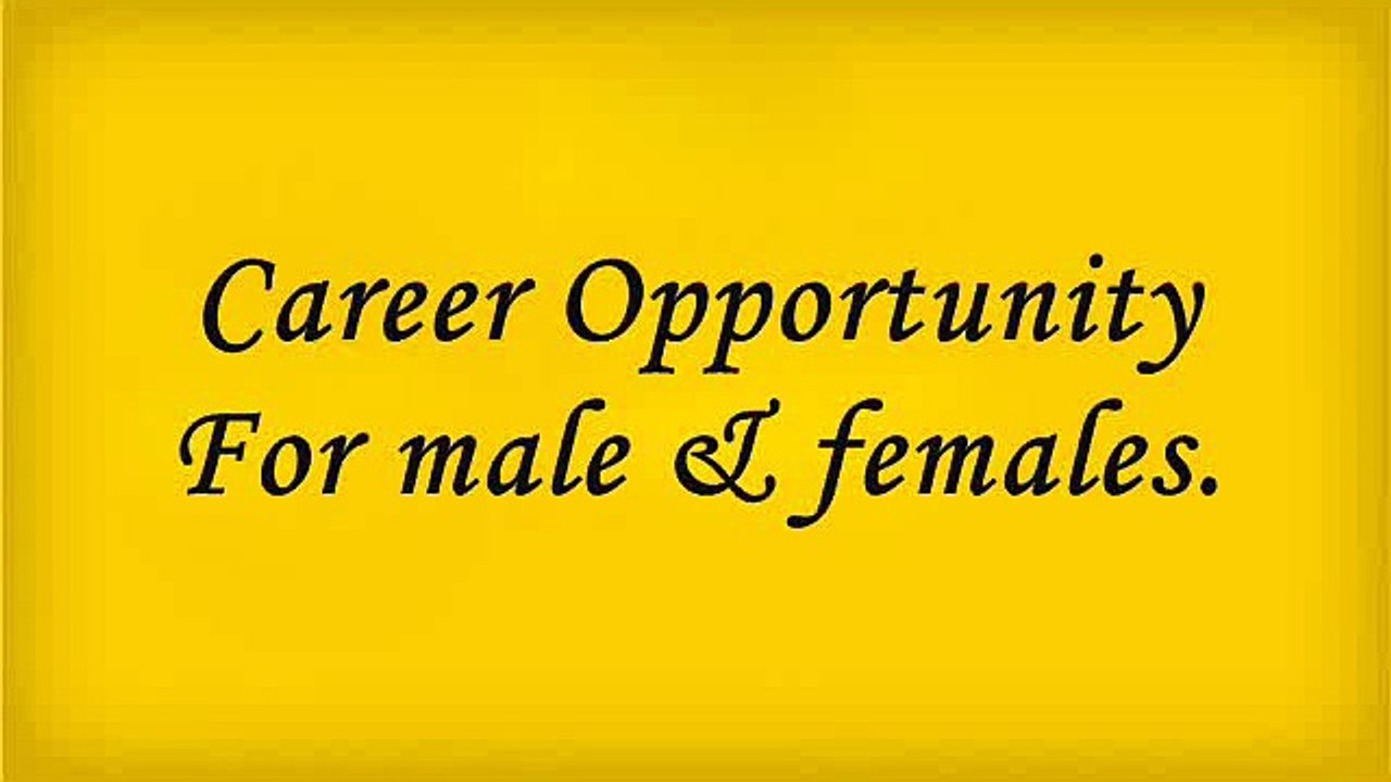 Career Opportunity