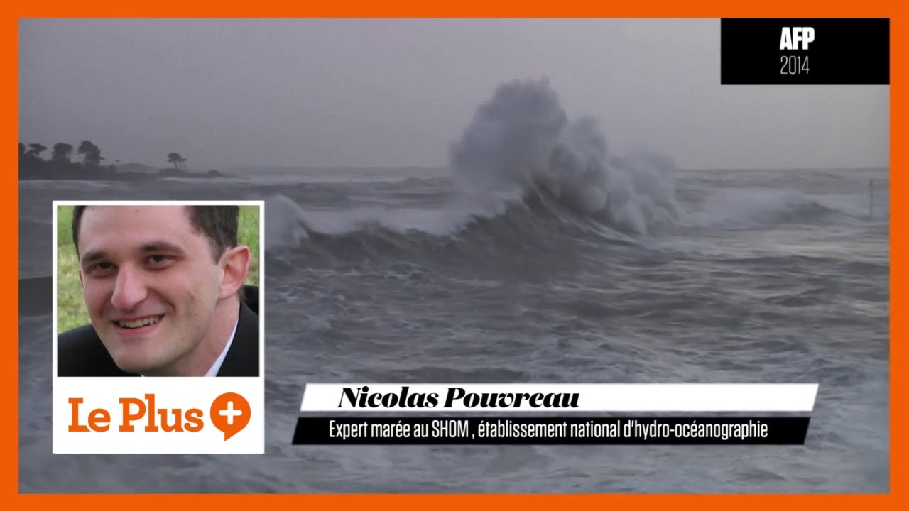 Marée du siècle au Mont-Saint-Michel : "La mer va monter au niveau d'un immeuble de 4 étages"