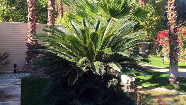 A tour of the Racquet Club Garden Villas in Palm Springs, CA