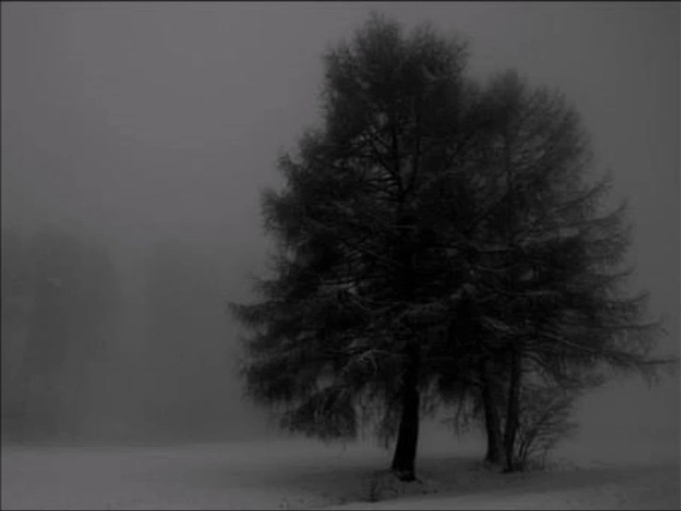 Mittageisen - Neuer Tag