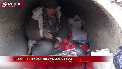 Su kanalında yaşam savaşı!