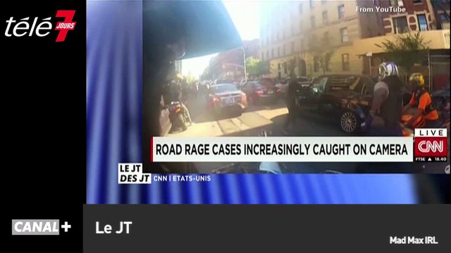 Le zapping du 19/02 : Confessions intimes : le mariage de 2 chihuahuas